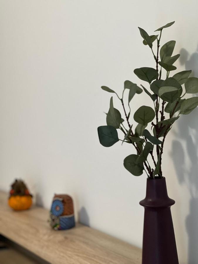 Villa Marie 2 Appartement Tout Confort Climatise 1 Chambre Proche Plage Le Grau-du-Roi Εξωτερικό φωτογραφία